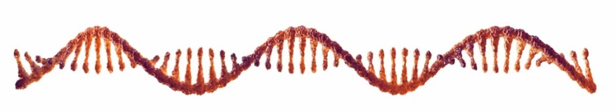 Development of RNA-Based Stroke Diagnostic Technology